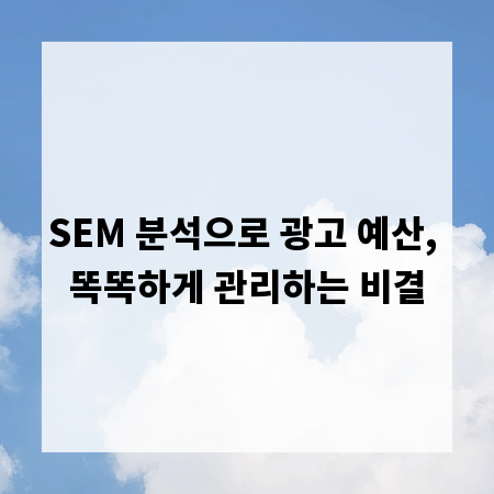 SEM 분석으로 광고 예산, 똑똑하게 관리하는 비결