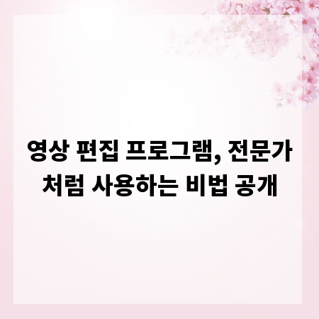 영상 편집 프로그램, 전문가처럼 사용하는 비법 공개