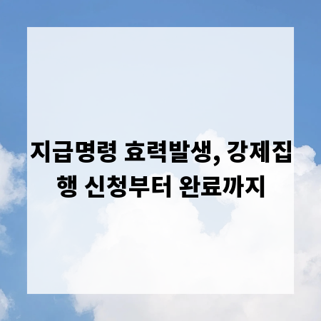 지급명령 효력발생, 강제집행 신청부터 완료까지
