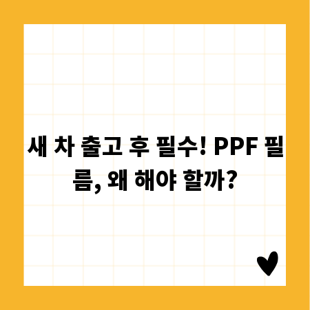 새 차 출고 후 필수! PPF 필름, 왜 해야 할까?
