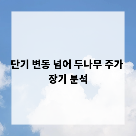 단기 변동 넘어 두나무 주가 장기 분석