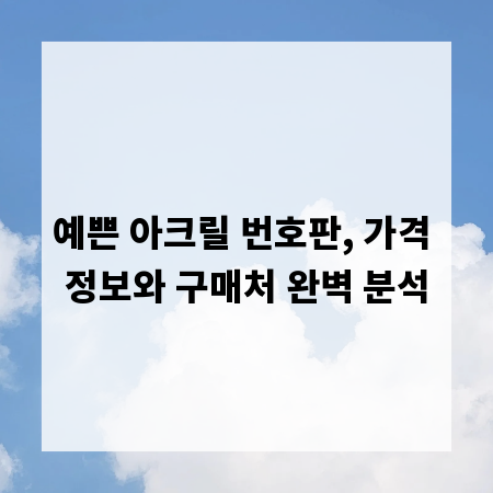 예쁜 아크릴 번호판, 가격 정보와 구매처 완벽 분석