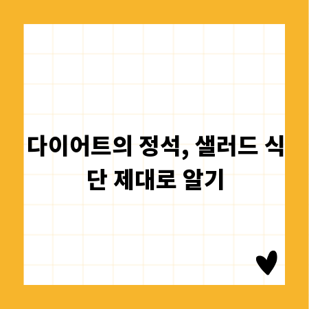 다이어트의 정석, 샐러드 식단 제대로 알기