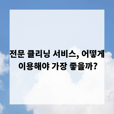 전문 클리닝 서비스, 어떻게 이용해야 가장 좋을까?