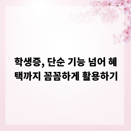 학생증, 단순 기능 넘어 혜택까지 꼼꼼하게 활용하기