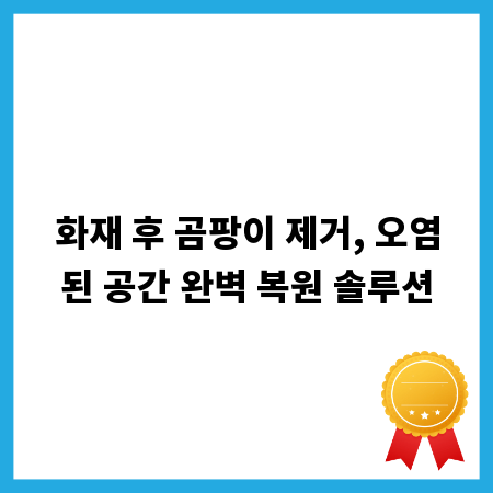 화재 후 곰팡이 제거, 오염된 공간 완벽 복원 솔루션