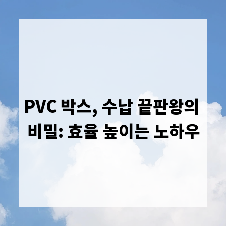 PVC 박스, 수납 끝판왕의 비밀: 효율 높이는 노하우