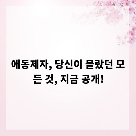 애동제자, 당신이 몰랐던 모든 것, 지금 공개!