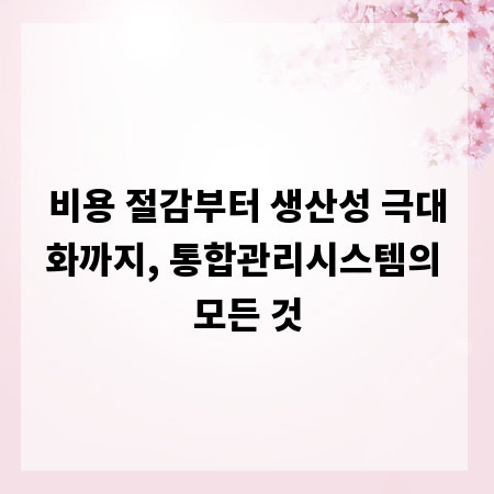 비용 절감부터 생산성 극대화까지, 통합관리시스템의 모든 것
