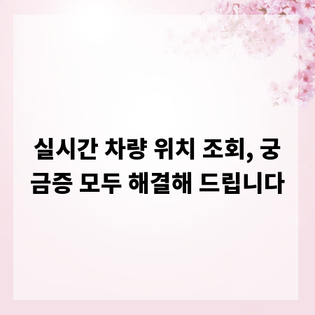 실시간 차량 위치 조회, 궁금증 모두 해결해 드립니다