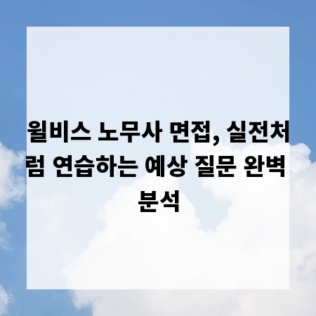 윌비스 노무사 면접, 실전처럼 연습하는 예상 질문 완벽 분석