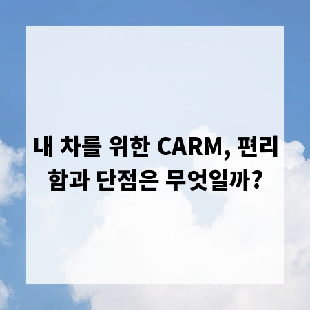 내 차를 위한 CARM, 편리함과 단점은 무엇일까?