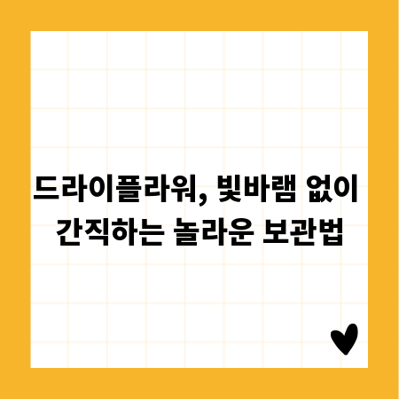 드라이플라워, 빛바램 없이 간직하는 놀라운 보관법