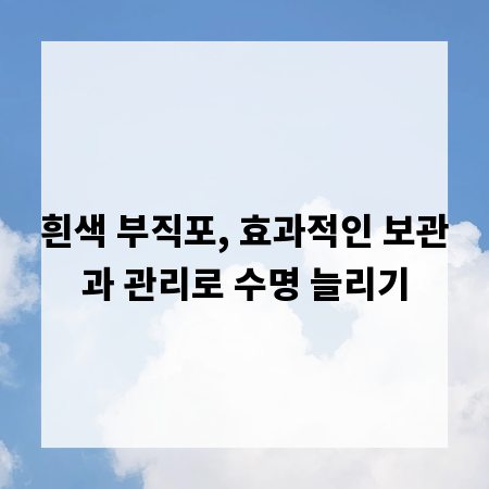 흰색 부직포, 효과적인 보관과 관리로 수명 늘리기