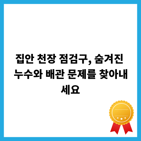 집안 천장 점검구, 숨겨진 누수와 배관 문제를 찾아내세요