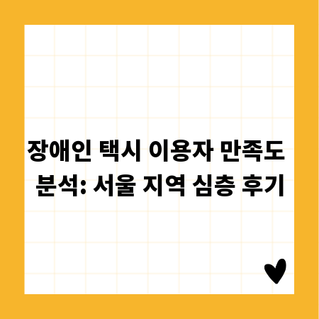 장애인 택시 이용자 만족도 분석: 서울 지역 심층 후기