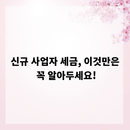 신규 사업자 세금, 이것만은 꼭 알아두세요!