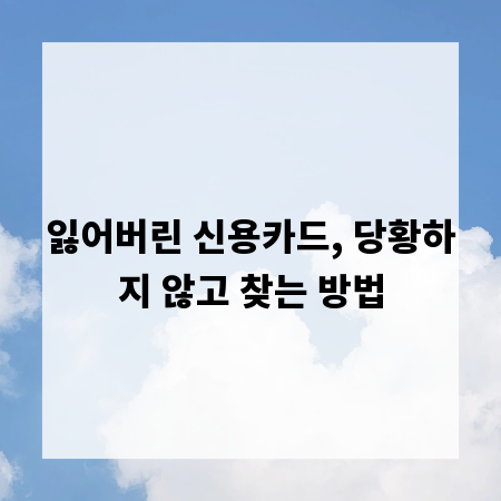 잃어버린 신용카드, 당황하지 않고 찾는 방법