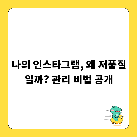 나의 인스타그램, 왜 저품질일까? 관리 비법 공개