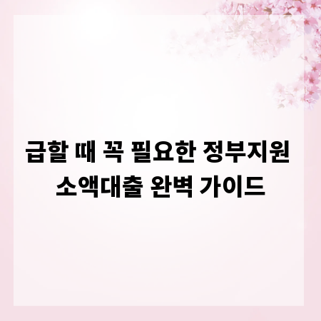 급할 때 꼭 필요한 정부지원 소액대출 완벽 가이드