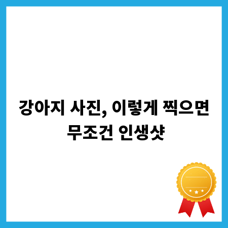 강아지 사진, 이렇게 찍으면 무조건 인생샷