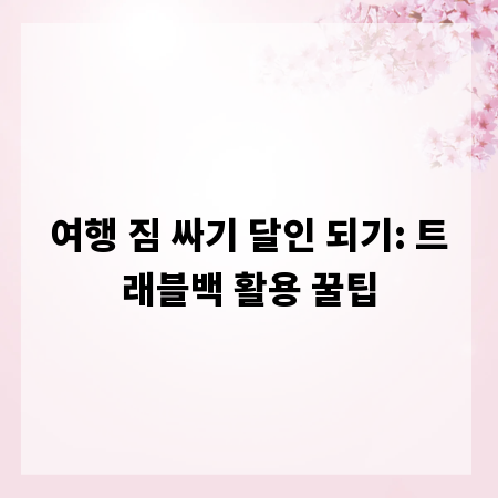 여행 짐 싸기 달인 되기: 트래블백 활용 꿀팁