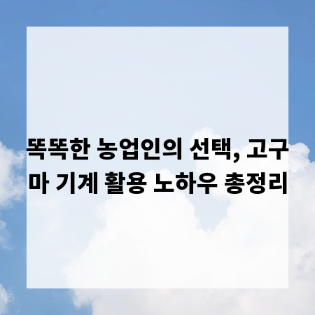 똑똑한 농업인의 선택, 고구마 기계 활용 노하우 총정리
