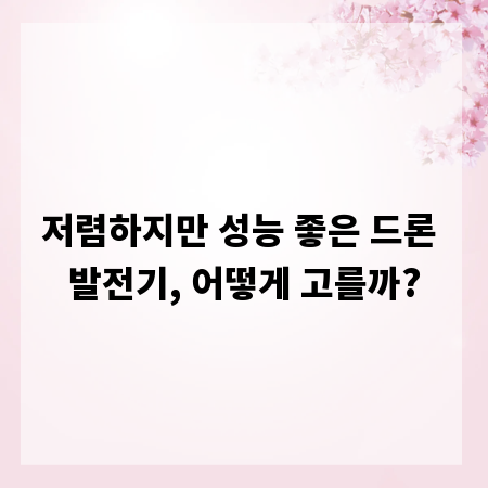 저렴하지만 성능 좋은 드론 발전기, 어떻게 고를까?