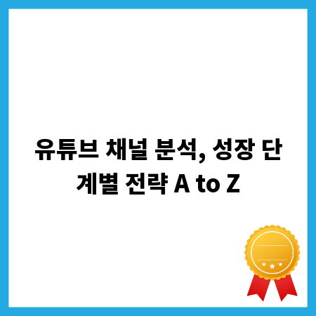 유튜브 채널 분석, 성장 단계별 전략 A to Z