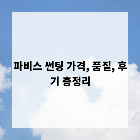 파비스 썬팅 가격, 품질, 후기 총정리