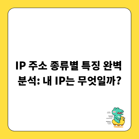 IP 주소 종류별 특징 완벽 분석: 내 IP는 무엇일까?