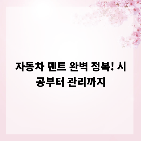 자동차 덴트 완벽 정복! 시공부터 관리까지