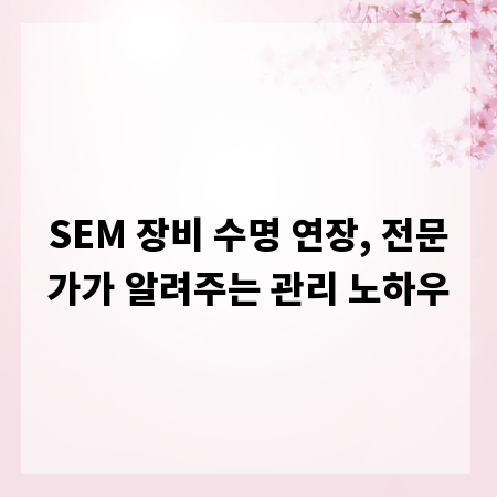 SEM 장비 수명 연장, 전문가가 알려주는 관리 노하우