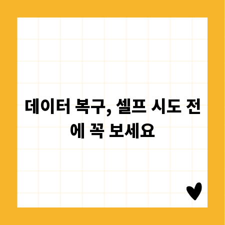 데이터 복구, 셀프 시도 전에 꼭 보세요