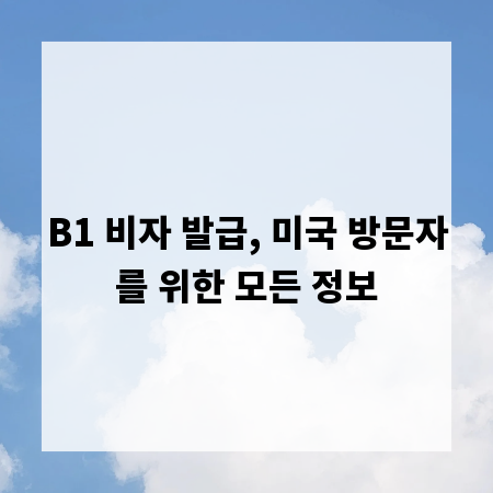 B1 비자 발급, 미국 방문자를 위한 모든 정보