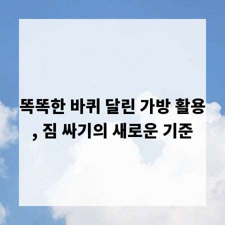똑똑한 바퀴 달린 가방 활용, 짐 싸기의 새로운 기준