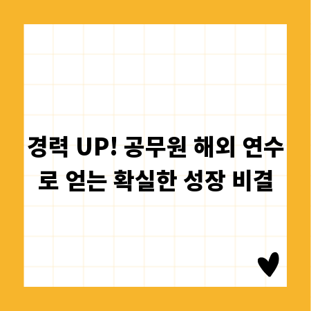 경력 UP! 공무원 해외 연수로 얻는 확실한 성장 비결