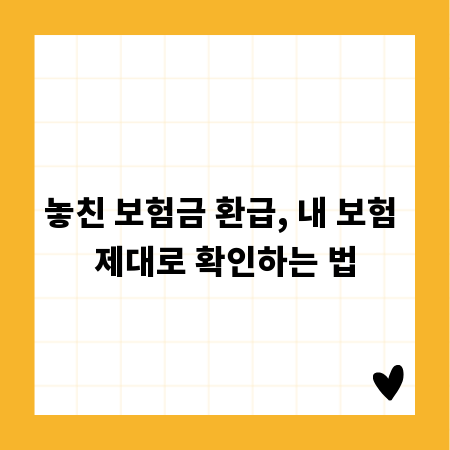 놓친 보험금 환급, 내 보험 제대로 확인하는 법