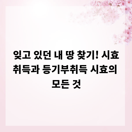 잊고 있던 내 땅 찾기! 시효취득과 등기부취득 시효의 모든 것