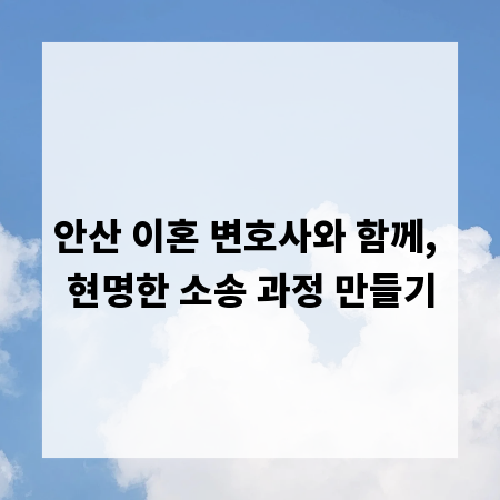 안산 이혼 변호사와 함께, 현명한 소송 과정 만들기