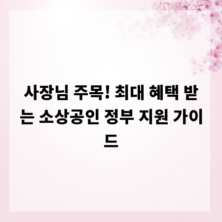 사장님 주목! 최대 혜택 받는 소상공인 정부 지원 가이드