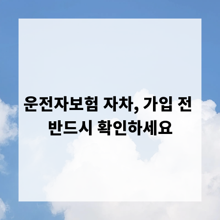 운전자보험 자차, 가입 전 반드시 확인하세요