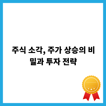 주식 소각, 주가 상승의 비밀과 투자 전략