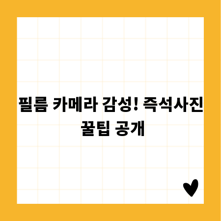 필름 카메라 감성! 즉석사진 꿀팁 공개