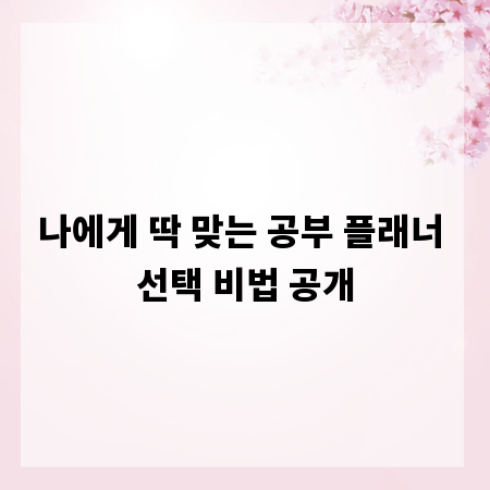 나에게 딱 맞는 공부 플래너 선택 비법 공개
