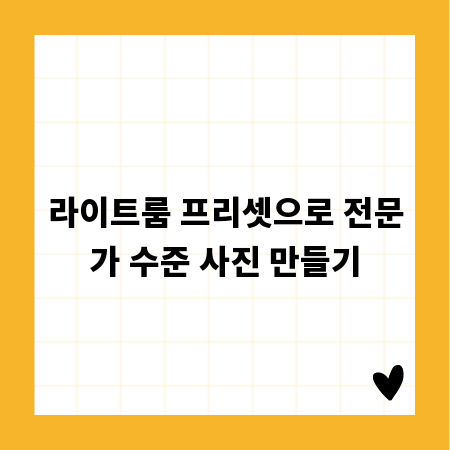 라이트룸 프리셋으로 전문가 수준 사진 만들기