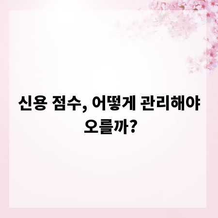 신용 점수, 어떻게 관리해야 오를까?
