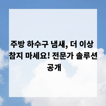 주방 하수구 냄새, 더 이상 참지 마세요! 전문가 솔루션 공개