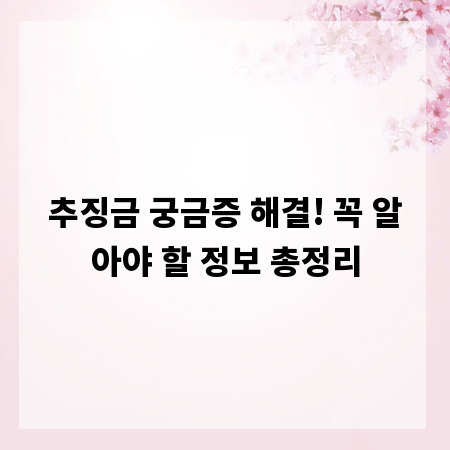 추징금 궁금증 해결! 꼭 알아야 할 정보 총정리
