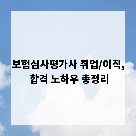 보험심사평가사 취업/이직, 합격 노하우 총정리